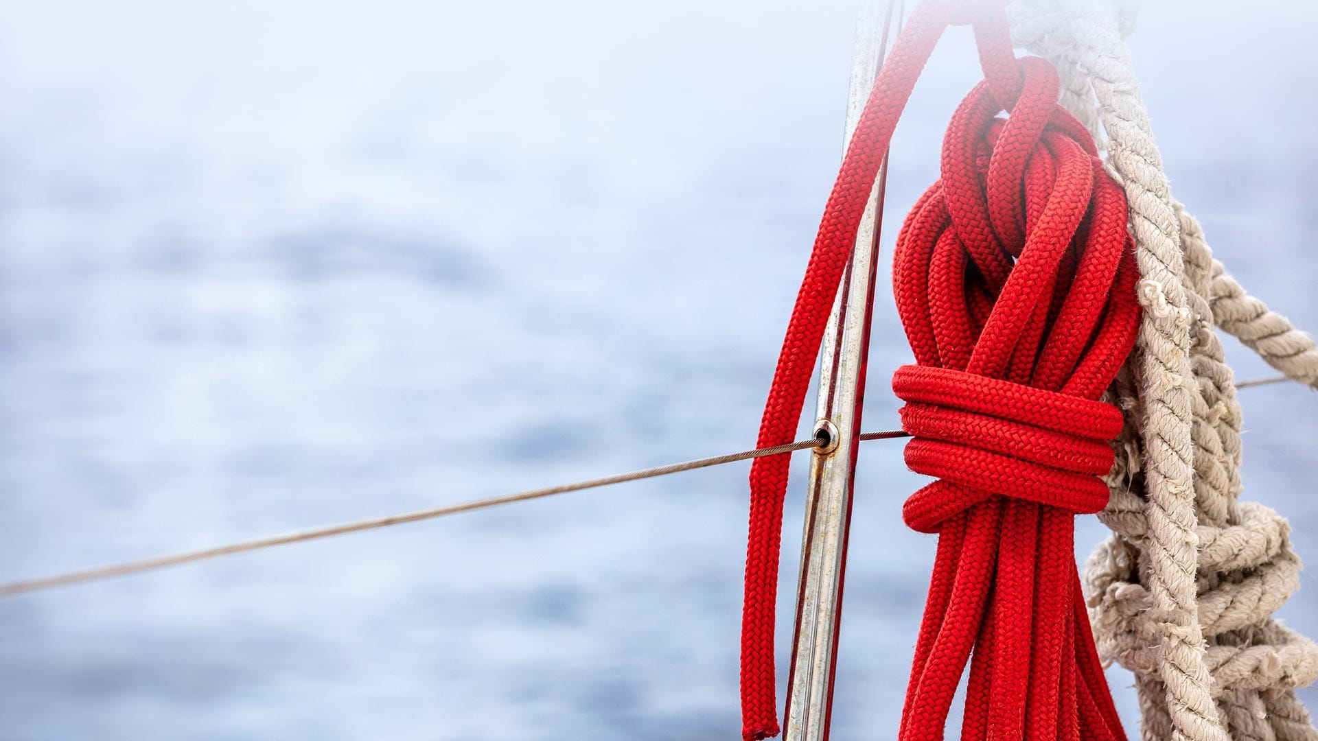Services designed to untangle and resolve complex challenges.