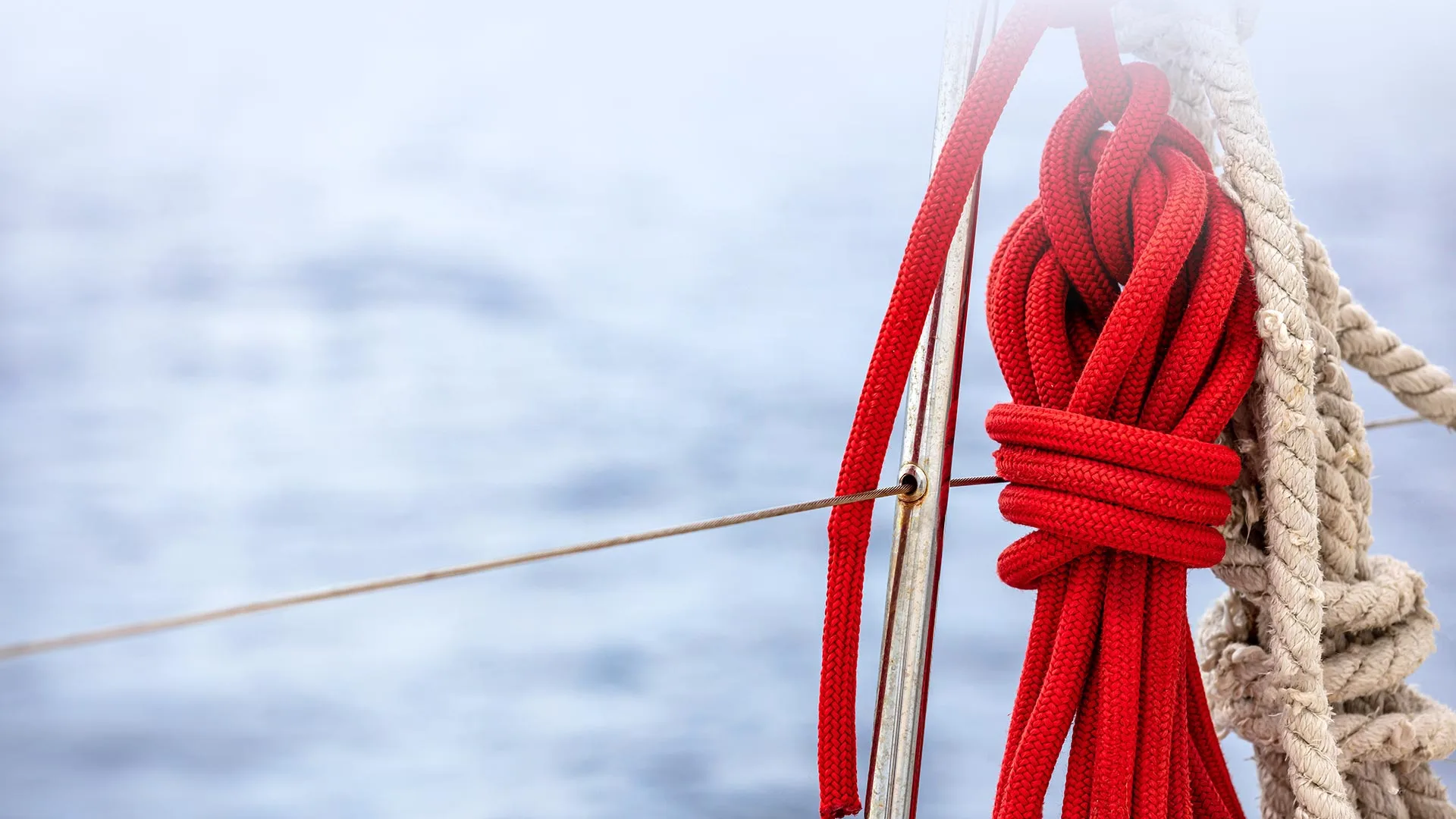 Services designed to untangle and resolve complex challenges.